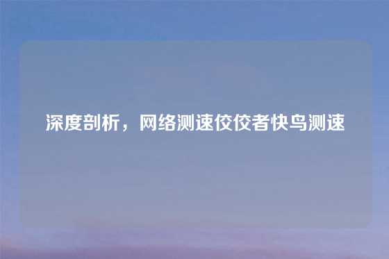 深度剖析，网络测速佼佼者快鸟测速