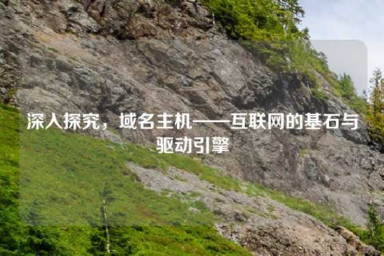 深入探究，域名主机——互联网的基石与驱动引擎