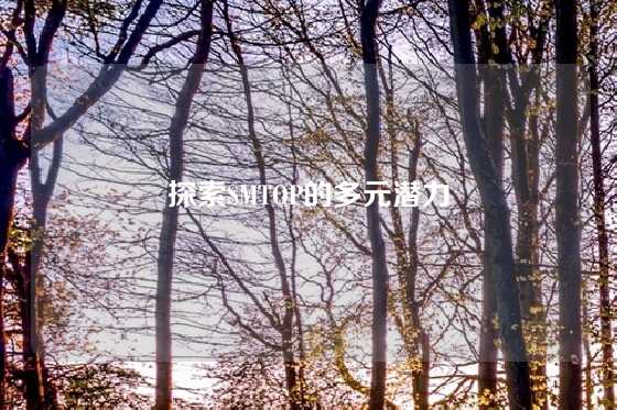 探索SMTOP的多元潜力