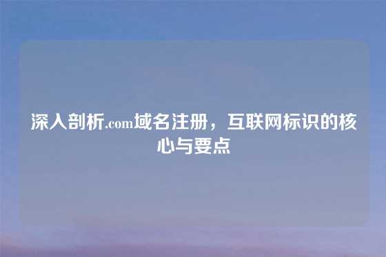 深入剖析.com域名注册，互联网标识的核心与要点