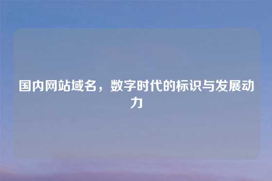 国内网站域名，数字时代的标识与发展动力
