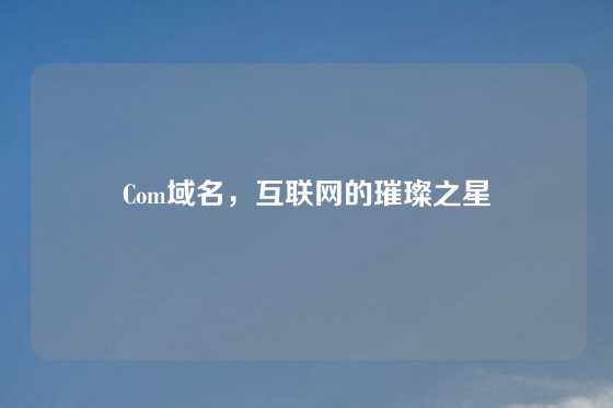 Com域名，互联网的璀璨之星