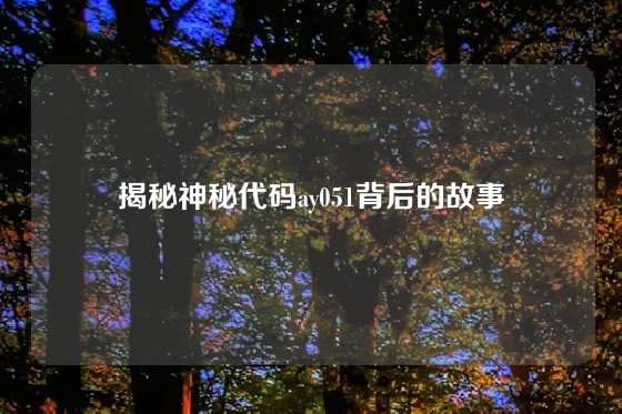 揭秘神秘代码ay051背后的故事