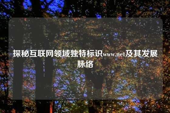 探秘互联网领域独特标识www.net及其发展脉络