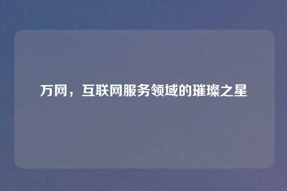 万网，互联网服务领域的璀璨之星