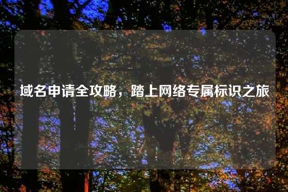 域名申请全攻略，踏上网络专属标识之旅