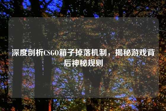 深度剖析CSGO箱子掉落机制，揭秘游戏背后神秘规则