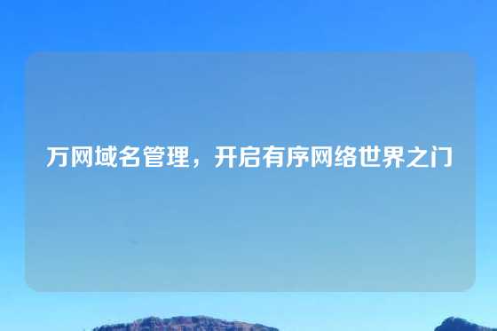 万网域名管理，开启有序网络世界之门