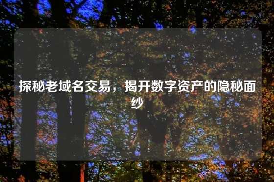 探秘老域名交易，揭开数字资产的隐秘面纱