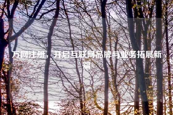 万网注册，开启互联网品牌与业务拓展新篇