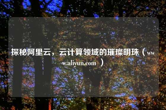 探秘阿里云，云计算领域的璀璨明珠（www.aliyun.com ）