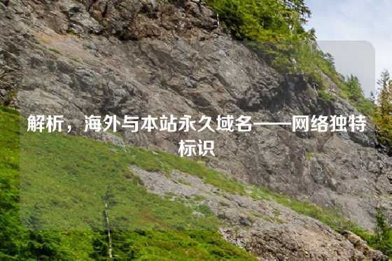 解析，海外与本站永久域名——网络独特标识