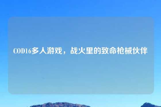 COD16多人游戏，战火里的致命枪械伙伴