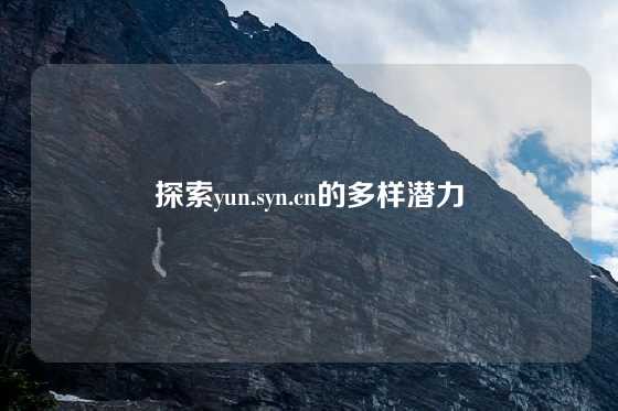 探索yun.syn.cn的多样潜力