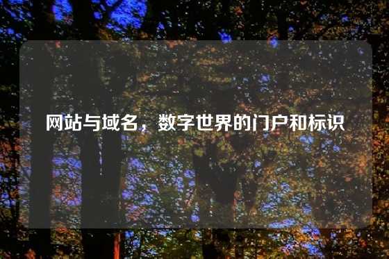 网站与域名，数字世界的门户和标识