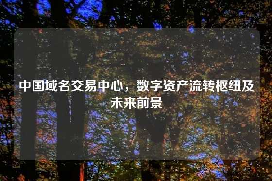 中国域名交易中心，数字资产流转枢纽及未来前景