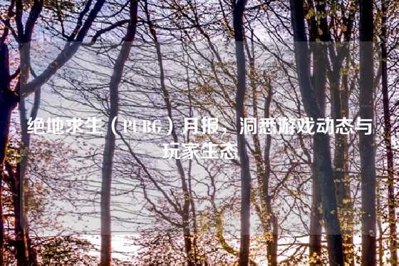 绝地求生（PUBG）月报，洞悉游戏动态与玩家生态