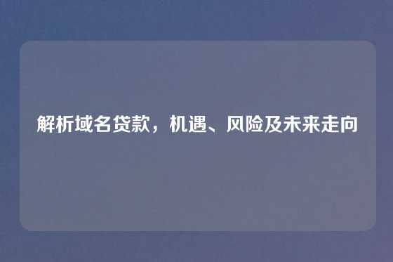 解析域名贷款，机遇、风险及未来走向