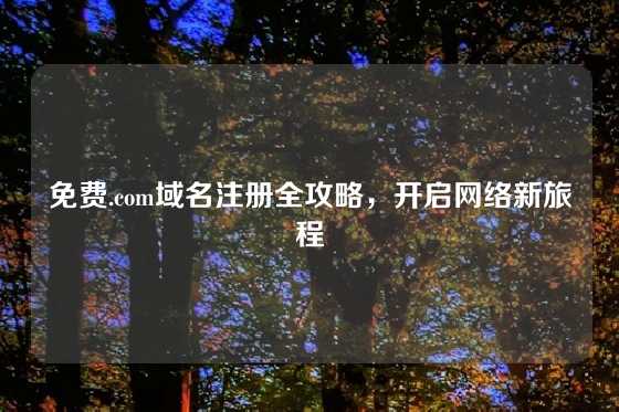 免费.com域名注册全攻略，开启网络新旅程