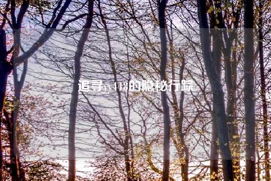 追寻yy448的隐秘行踪