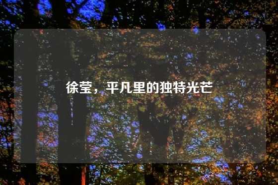 徐莹，平凡里的独特光芒