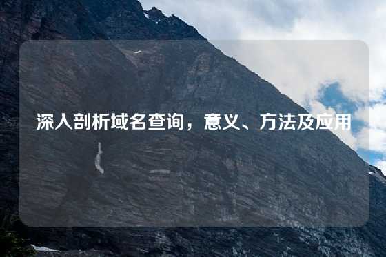 深入剖析域名查询，意义、方法及应用