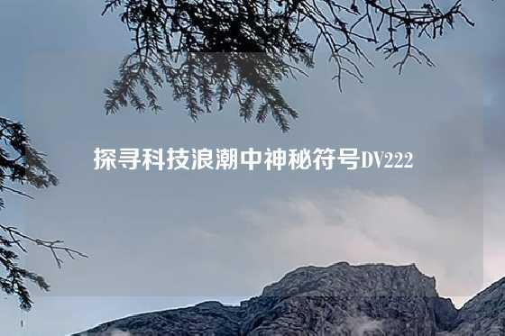 探寻科技浪潮中神秘符号DV222