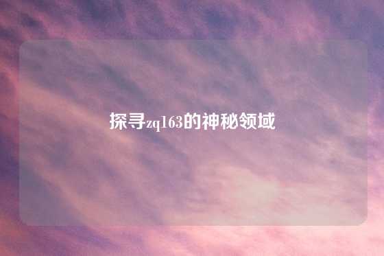探寻zq163的神秘领域