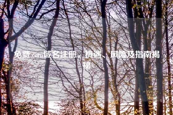 免费.com域名注册，机遇、风险及指南揭秘