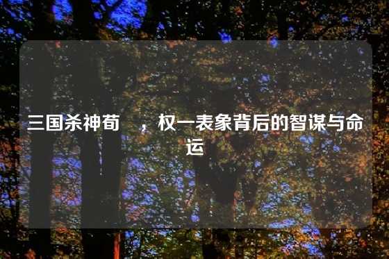 三国杀神荀彧，权一表象背后的智谋与命运