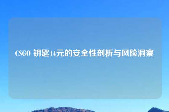 CSGO 钥匙14元的安全性剖析与风险洞察