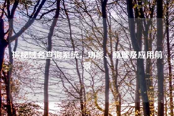 探秘域名查询系统，功能、原理及应用前景