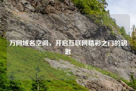 万网域名空间，开启互联网精彩之门的钥匙