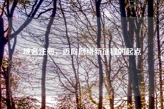 域名注册，迈向网络新征程的起点