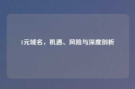 1元域名，机遇、风险与深度剖析