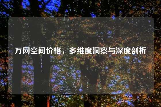 万网空间价格，多维度洞察与深度剖析