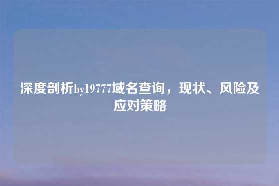 深度剖析by19777域名查询，现状、风险及应对策略