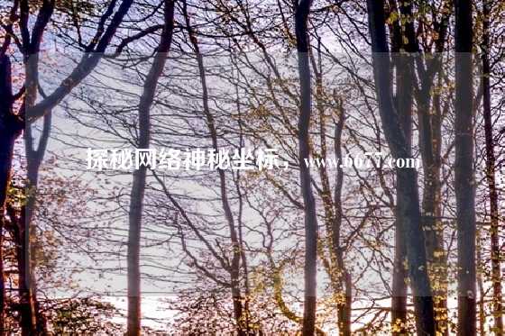 探秘网络神秘坐标，www.6677.com