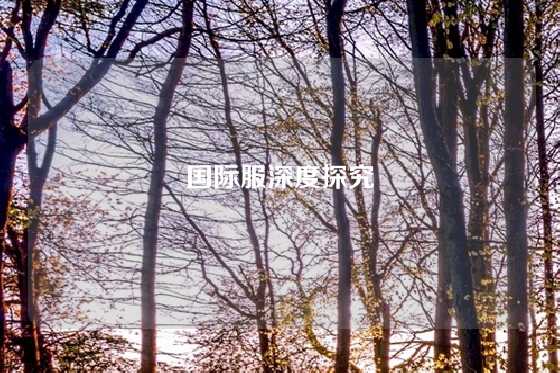 国际服深度探究