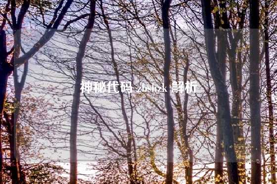 神秘代码 zbshzk 解析