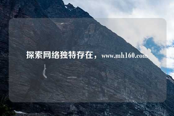 探索网络独特存在，www.mh160.com