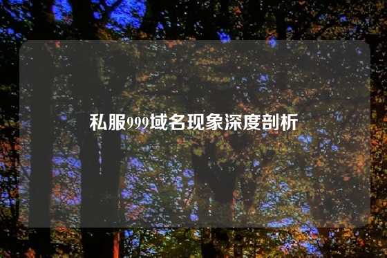 私服999域名现象深度剖析