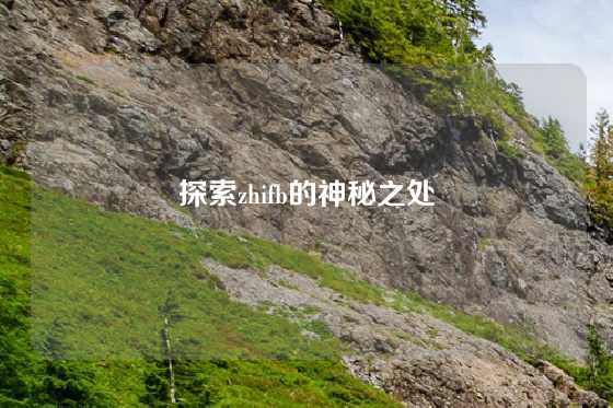 探索zhifb的神秘之处