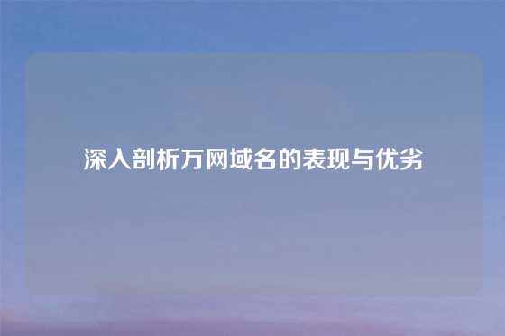 深入剖析万网域名的表现与优劣