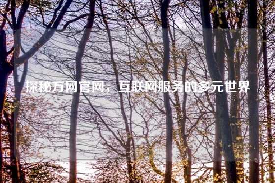 探秘万网官网，互联网服务的多元世界