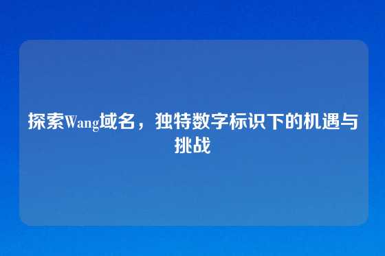 探索Wang域名，独特数字标识下的机遇与挑战
