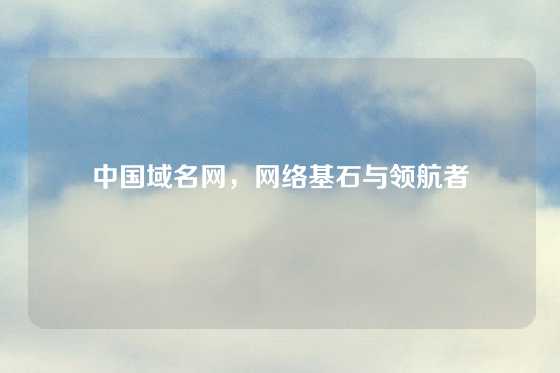 中国域名网，网络基石与领航者