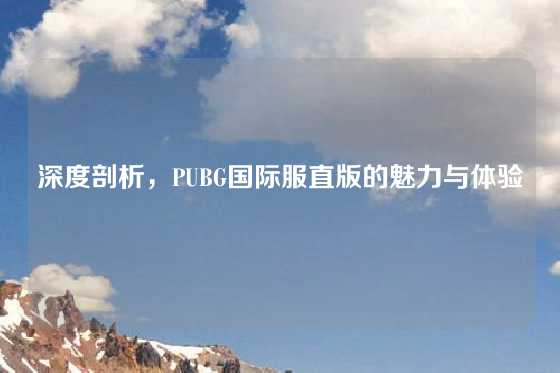 深度剖析，PUBG国际服直版的魅力与体验