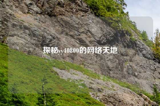 探秘yy40800的网络天地