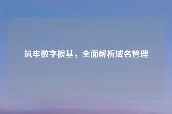 筑牢数字根基，全面解析域名管理